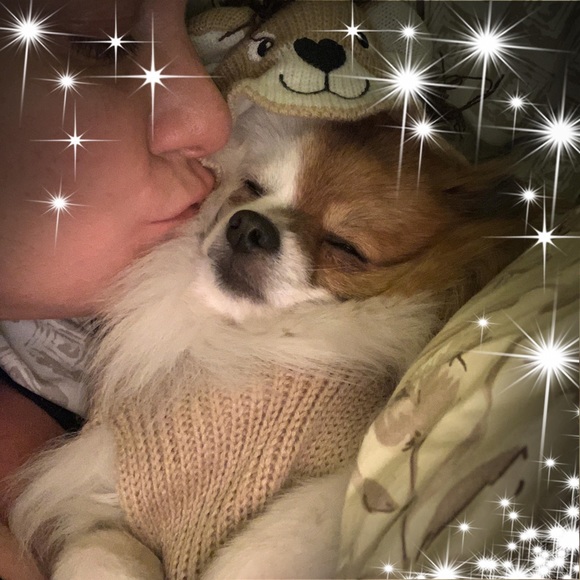 Meet your Posher, Susie - Picture 4 of 8